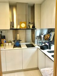 Park Infinia At Wee Nam (D11), Condominium #638244701